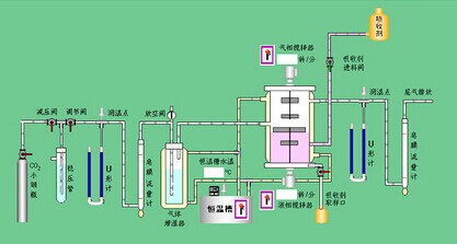 香港六宝典免费资料大全